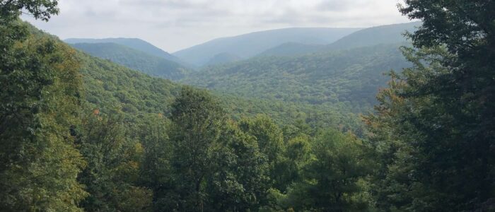 Social Media Shares: Griz Guides’ Seven Mountains Enduro Epic Route
