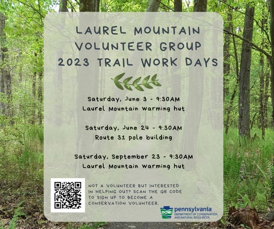 Laurel Mtn Volunteer Group Work Days Flyer